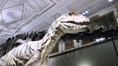 Allosaurus In Naturhistorisches Museum Wien Youtube