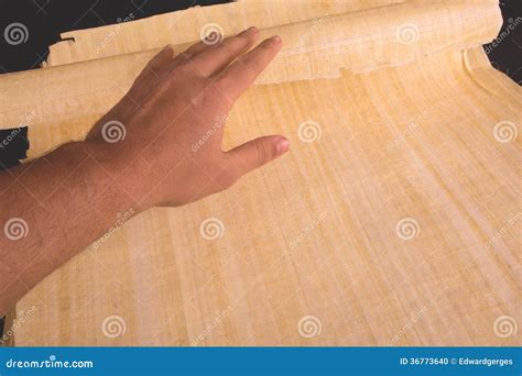 Egyptian Papyrus Blank Message Stock Photo Image Of Coiled Frame