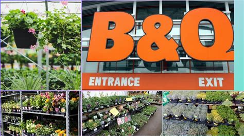 B Q Garden Centre B Q Garden Tour Youtube