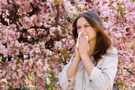 How To Fight Against Seasonal Allergies 5 Tips To Keep Allergies At