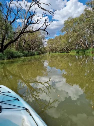 Best Paddle Sports Trails In Wainui Alltrails