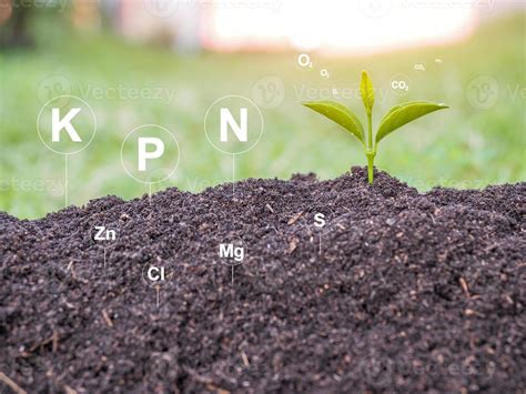 soil nutrients stock  images  backgrounds