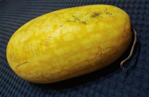 Создать мем "кабачок желтый, тыква, тыква желтая продолговатая ...