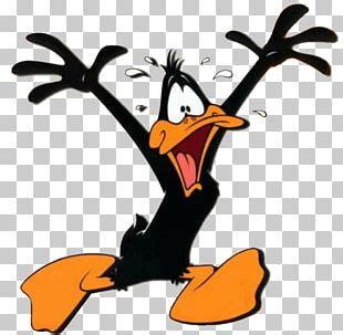 Daffy Duck Donald Duck Tweety Sylvester Bugs Bunny Png Clipart Art