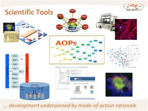 In vitro data and in silico models for predictive toxicology