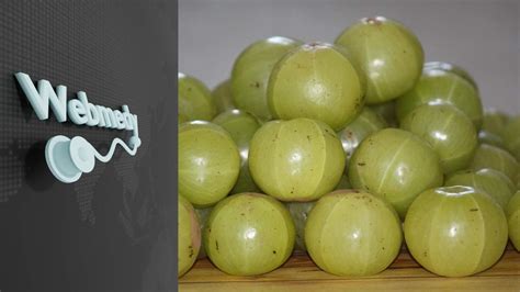 Top 8 Health Benefits of Indian Gooseberry (Amla)