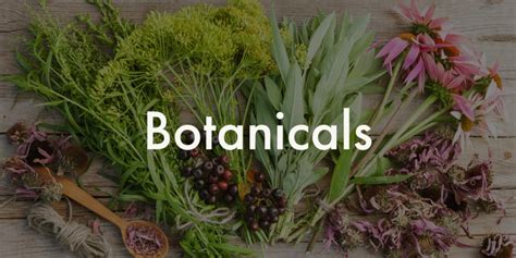 How To Make Cold Oil Infusions: The Basics - Bath Fizz and Foam