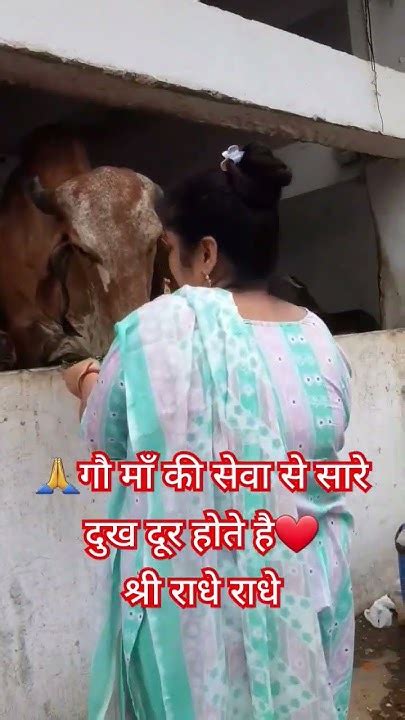 🔱🙏 जय श्री राधे राधे 💐गौ माता की सेवा कर के देखो👌आनंद का अनुभव होगा🤗 जय