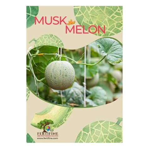 MUSK MELON COMBO KIT 1 ACRE