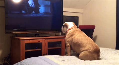 Ch Ch M C Y Phim Ma C H Nh Ng Kh Ng Ng Khi T I C Nh Gay C N