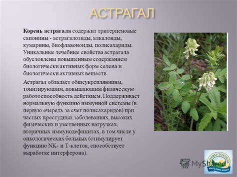 Презентация на тему: "Состав -1 капсула: Молозиво сухое (25% ...