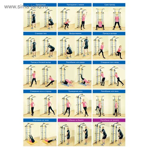 Гимнастические упражнения у шведской стенки 91 фото