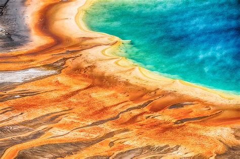 Two Nature Articles Call for Rethink in Biology | ID the Future