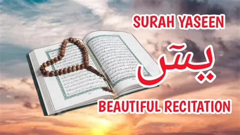 surah yaseen  beautiful recitation  wishes   true