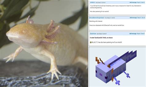 Аксолотль схема майнкрафт - Zefirka.club фото и картинки