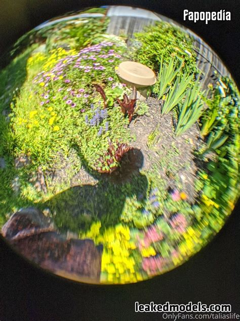 Talia Nude OnlyFans Leaks Photo 552389 Fapopedia