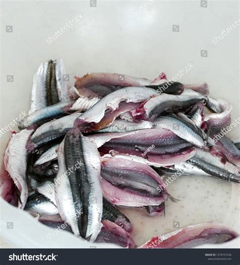 3 Anchovy Sachet Images, Stock Photos & Vectors | Shutterstock
