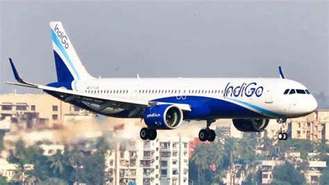 Indigo Unveils New Business Class Loyalty Program Bluchip And More
