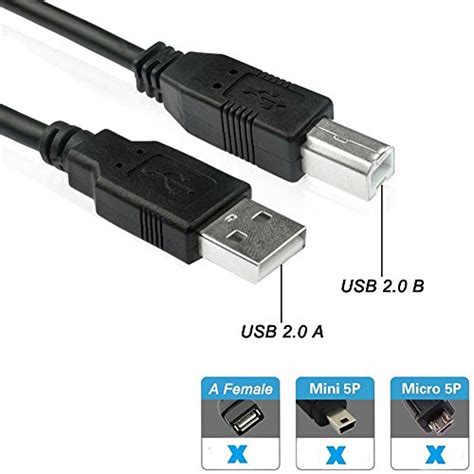 Buy Usb 20 Cable Type A To Type B High Speed Cord For Audio Interface