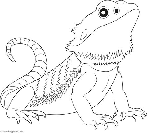 Bearded Dragon Coloring Sheet [2025]
