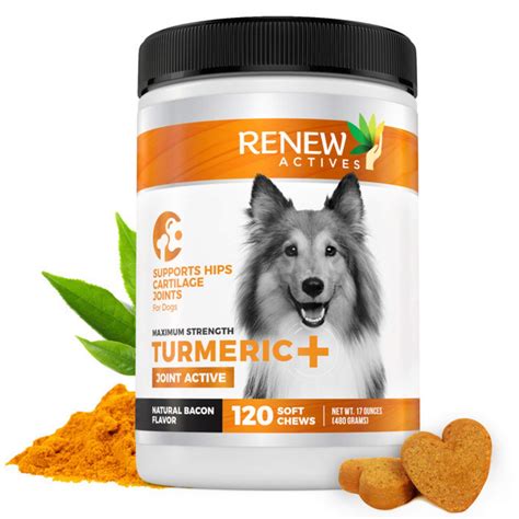 Renew Actives Dog Joint Pain Support Supplement Natural, Advanced ...