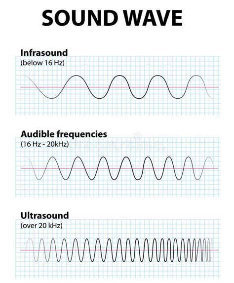 Sound Wave Infrasound Ultrasound And Audible Frequencies Sponsored