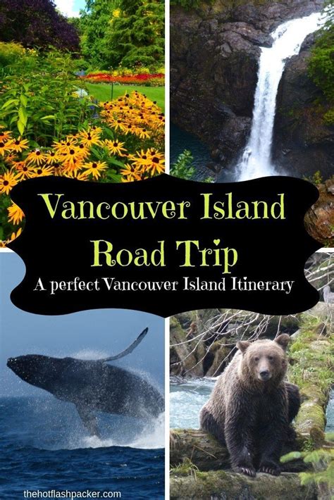 A Vancouver Island Road Trip (The Perfect Vancouver Island Itinerary ...