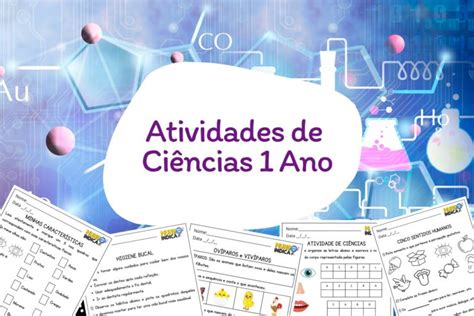 Conteúdo De Ciências 1 Ano Fundamental - 20 Atividades de Ciências 1 Ano Fundamental para Imprimir