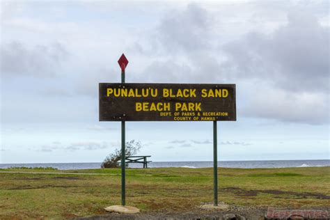 Punalu'u Black Sand Beach - Jeffsetter Travel