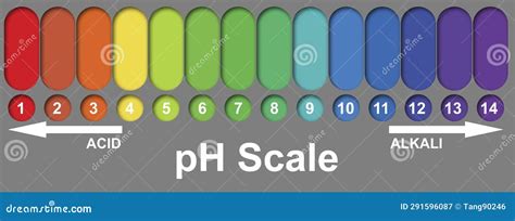 PH Alkaline And Acidic Scale Stock Image | CartoonDealer.com #291985933