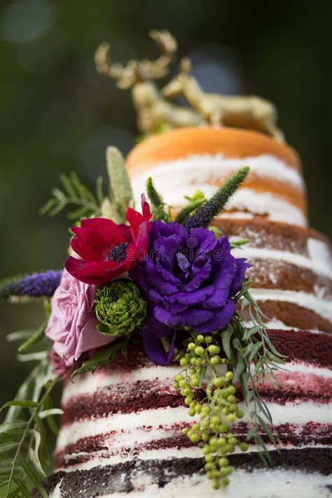 Rustic Naked Wedding Cake Stock Photo Image Of Reception Rustic