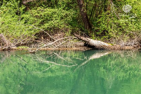 The Zlatna Panega Karst Lake Near The Village Of Zlatna Panega