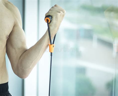 Homem Que Exercita O Torso Do Nude Foto De Stock Imagem De Ativo Bonito