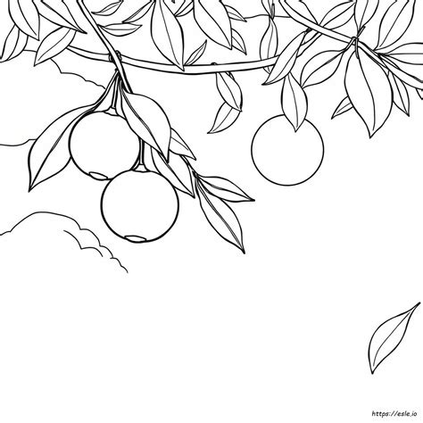 orange coloring pages 6