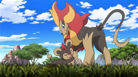 Cbbc Pokémon Xy Series 19 Xyz A Fiery Rite Of Passage