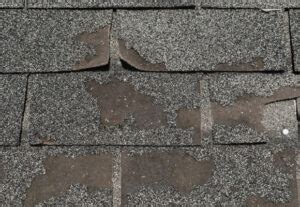 Roof Blistering Vs Hail Damage Everything Need To Know RoofHit