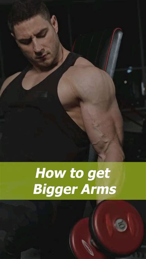 Workout for bigger arms #workoutideas #exercisetips #biggerarms #biceps ...