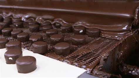 6 вкусных фактов о шоколаде - cerse.net