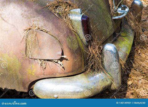 closeup  bumper   abandoned car stock image image  needles