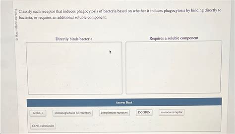 Solved 들 Classify each receptor that induces phagocytosis Chegg