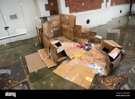 Cardboard Box Homeless
