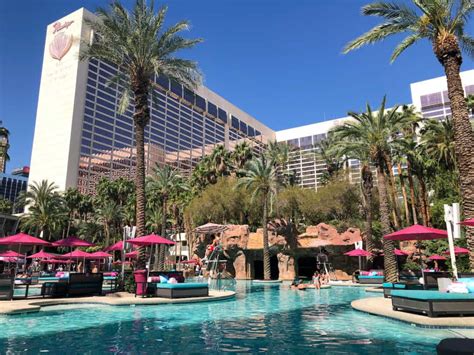 Flamingo Las Vegas Resort Fee 2024 - Debi Mollie