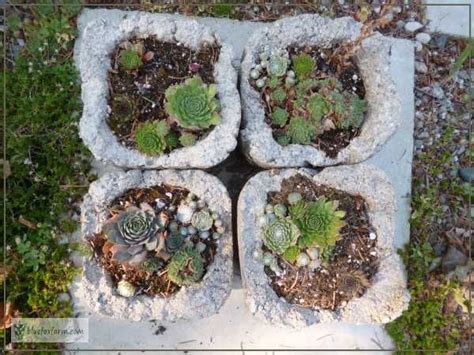 Favorite Hypertufa Molds Some Inspiration Hypertufa Garden Junk Rustic Crafts