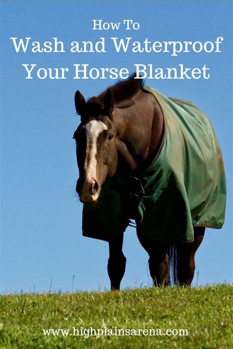 Wash and waterproof your horse blankets the right way – Artofit