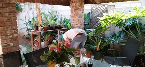 Masturbating With My Neighbours Wife Outdoor On The Patio Amateur Amateur Porn XHamster