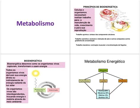 Mapas Mentais sobre BIOENERGÉTICA Study Maps