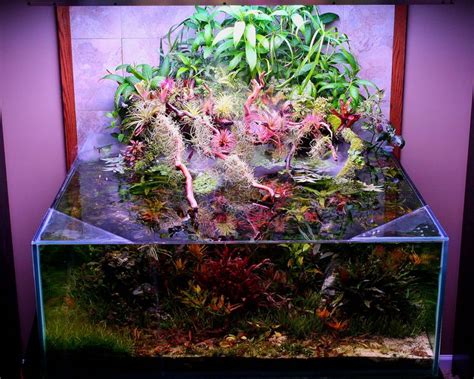 Pin By Emily B On 2021 Nature Aquarium Planted Aquarium Aquascape