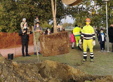 Giornata Nazionale Degli Alberi A Marsciano Iltamtam It Il Giornale