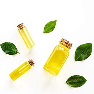 Amazon Rihanna Nude Eau De Parfum Spray For Women Ounce Beauty Personal Care