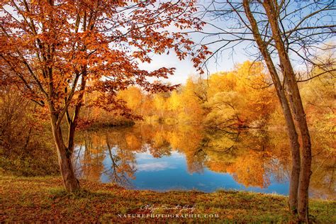 LES PLUS BELLES PHOTOS DE NATURE PHOTOGRAPHIE